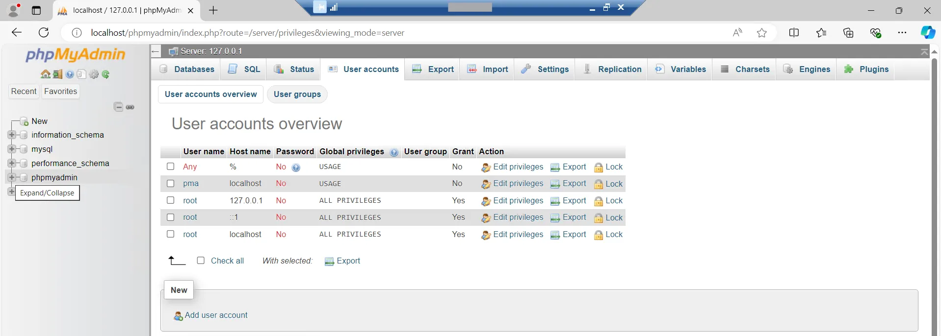 phpMyAdmin Page