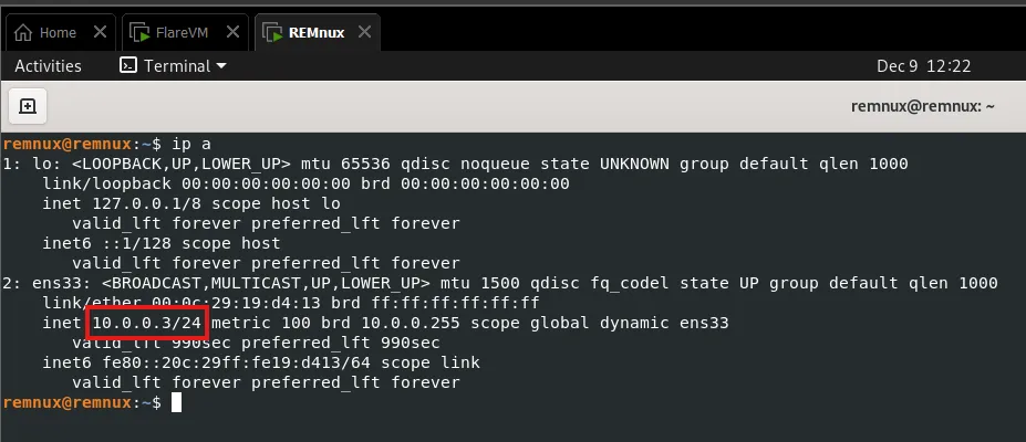 REMnux VM IP address