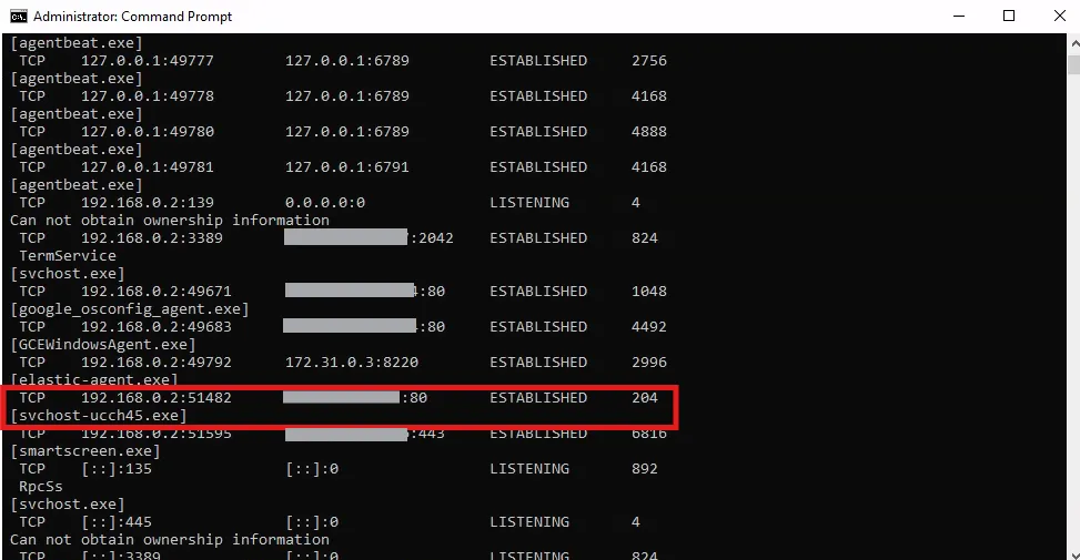 Payload running - netstat